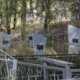 В Симферопольском районе кладбище разворовывают на металлолом