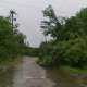 В Луганской области в воскресенье бушевал настоящий ураган