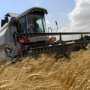 Аграрии Крыма убрали треть площадей зерновых