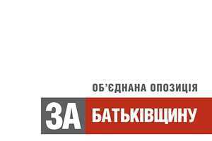 В Кировском районе презентовали программу Объединенной оппозиции