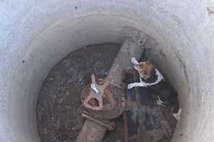 В Керчи спасатели достали щенка из пятиметрового колодца