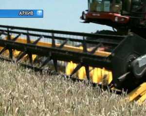 Украина будет с зерном