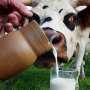 Совмин Крыма будет подороже покупать молоко у селян
