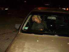 В Евпатории пьяная туристка угнала машину у таксиста