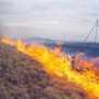 В Крыму сгорело 6 га леса и травы