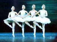 «Молодой балет Киева» покажет в Симферополе «Лебединое озеро»