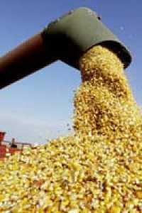 В Симферополе торговцы зерном уклонились от уплаты налогов на сумму в 2 млн гривен