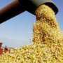 В Симферополе торговцы зерном уклонились от уплаты налогов на сумму в 2 млн гривен