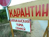 Свинину из Запорожской области запретили ввозить в Симферополь