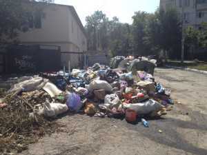 В горсовете Симферополя уверяют, что борются с мусором изо всех сил