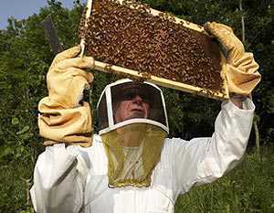 В Севастополе произойдёт Международный съезд пчеловодов