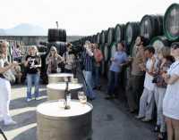 На винный фестиваль в Феодосию приедут представители 18 винзаводов