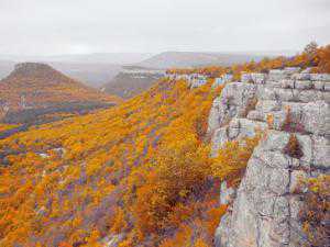 Туристы любят осенний Крым за местные достопримечательности