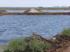 Прокуратура Феодосии требует привести в порядок озеро Аджиголь