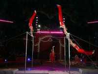 В Евпатории выступят артисты цирка «Огни Киева»