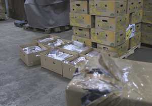 В Бельгийском порту в контейнере с бананами нашли восемь тонн кокаина