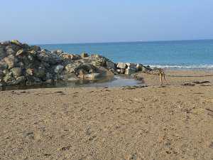 Частная фирма вывозит «Камазами» песок с пляжа Любимовка под Севастополем