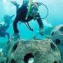 Искусственные рифы привлекают в Крым любителей дайвинга, - эксперт