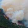 Поджигатель Ялтинского заповедника, по вине которого сгорели 10 гектаров леса, сядет на семь лет