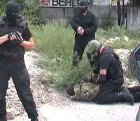 СБУ и милиция поймали в Севастополе банду наркоторговцев