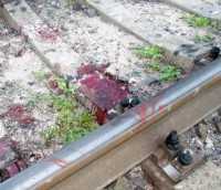 В Ночное Время на станции в Джанкое под колесами поезда погиб рабочий