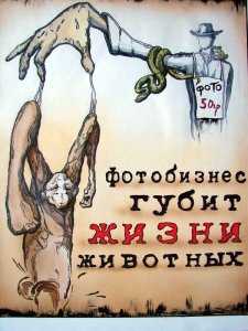 На курортах Крыма появится антиреклама фотоуслуг с животными