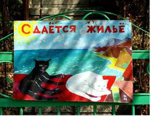 Крымские чиновники грезят притоком богатых курортников из дальнего зарубежья