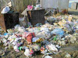 Села Малореченского сельсовета после побега головы завалило мусором