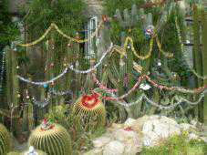В Никитском ботаническом саду к Новому году украсили кактусы