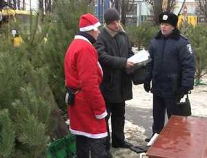 Украинская милиция изъяла у браконьеров более 100 тысяч елок