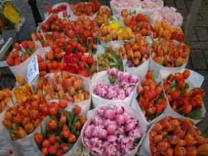 Прокуратура требует убрать цветочный рынок в Севастополе