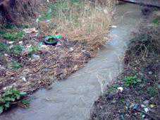 В Алуште очистили реку от мусора