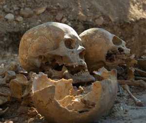 В Севастополе проведут дополнительную экспертизу останков из массового французского захоронения