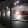 В Севастополе откроется выставка живописи и графики из коллекции царского генерала