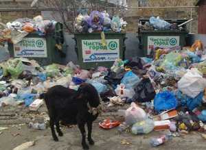 Погряз в долгах: «Чистому городу» некуда выбрасывать мусор