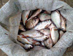 В Красноперекопском районе задержали браконьеров – любителей озерной рыбы