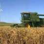 Крым завершил сев ранних зерновых