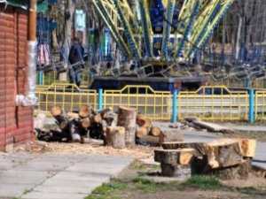В крупнейшем парке Симферополя спилили 300 деревьев