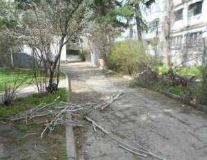 Ураган в Алуште рушил деревья и крыши домов