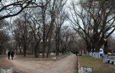 В Столице Крыма приберут территорию парка Шевченко
