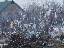 На уборку Мраморного, утонувшего в мусорных завалах, отправятся несколько десятков чиновников