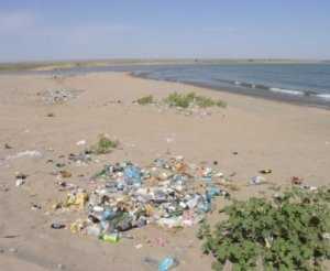 Молодёжное правительство Крыма пообещало убрать мусор с пляжей Николаевки