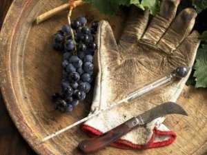 Крымские виноделы скрыли 800 тысяч гривен налогов