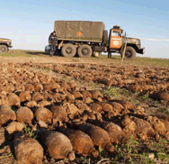 В крымском поле обнаружили почти 600 взрывоопасных снарядов
