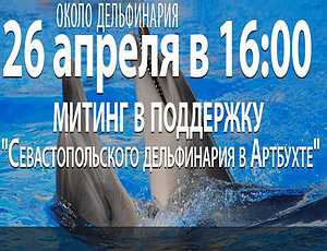 В Севастополе защитники дельфинария пошли на штурм городской администрации