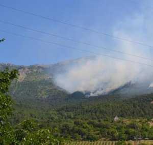В лесах Крыма сложилась опасность пожаров