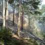 В Крыму сохраняется чрезвычайная пожароопасность