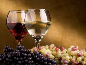 Академик Гринык предлагает актуализировать виноградарство в соответствии с развитием виноделия