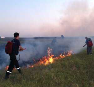 Спасатели предупредили о возможности больших пожаров на открытой территории в Крыму