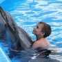 В Судаке открылся новый дельфинарий